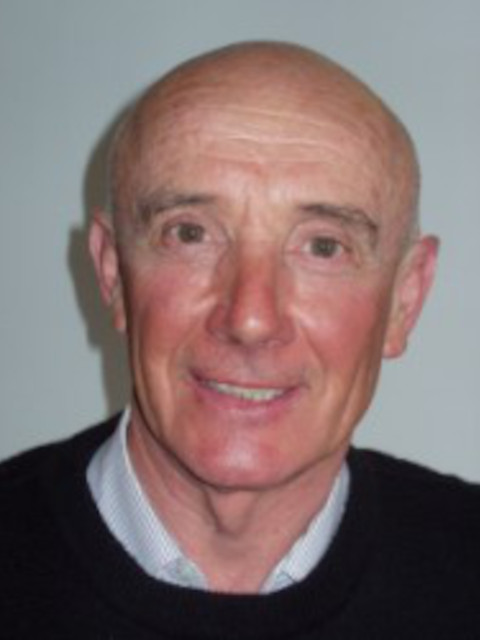 Gianpietro Zanni